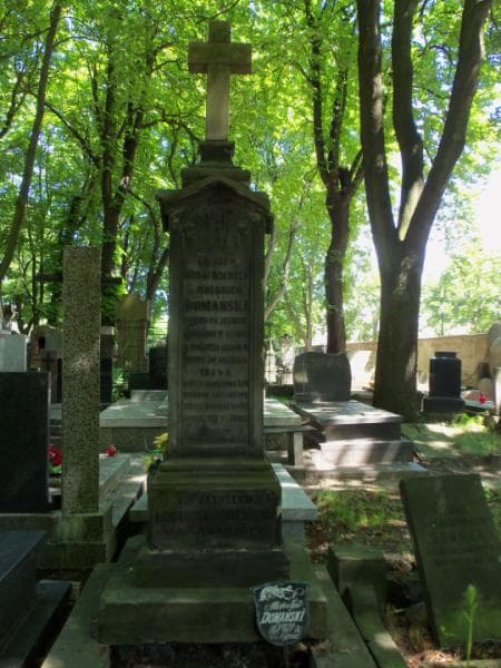 Zdjęcie grobu Zygmunt Laryssa Domański (2)