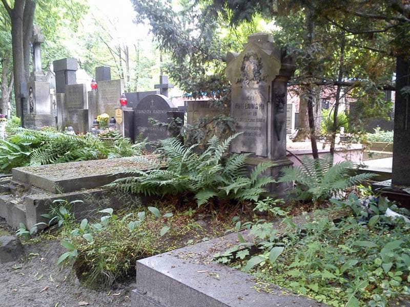 Zdjęcie grobu: Michał Pawłowski