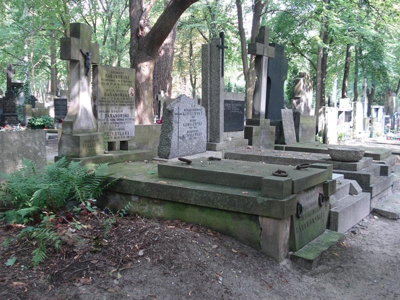 Zdjęcie grobu Bogdan Baranowski (1)