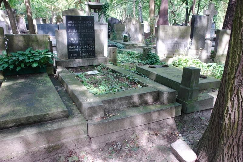 Zdjęcie grobu Maria Słonecka (1)