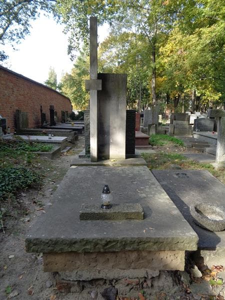 Zdjęcie grobu Roman Stanisław Amanowicz (1)