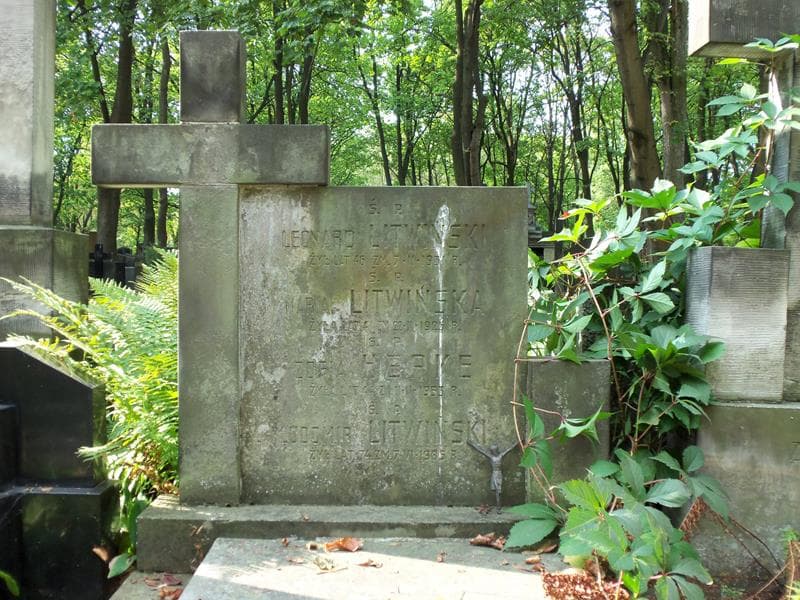 Zdjęcie grobu Zofia Hepke (2)