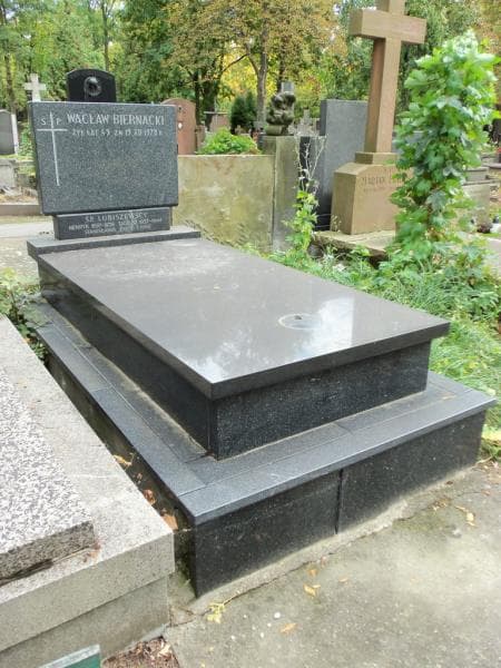Zdjęcie grobu Henryk Lubiszewski (1)