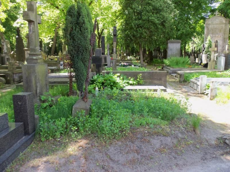 Zdjęcie grobu Ignacy Matkowski (1)