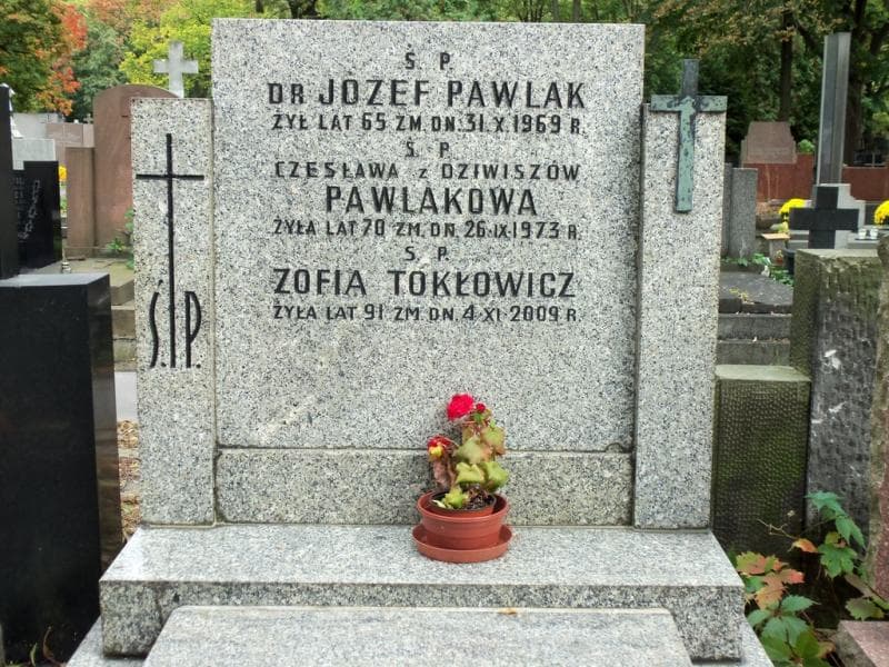 Zdjęcie grobu Zofia Tokłowicz (2)