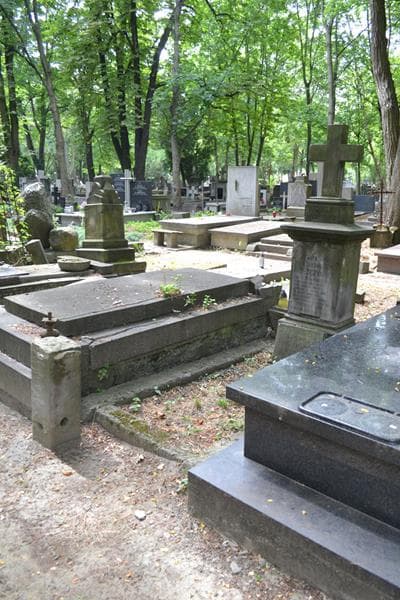 Zdjęcie grobu: Stanisława Goszczyńska