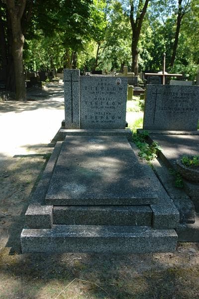Zdjęcie grobu Mikołaj Tiepłow (1)