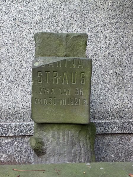 Zdjęcie grobu Janina Straus (2)