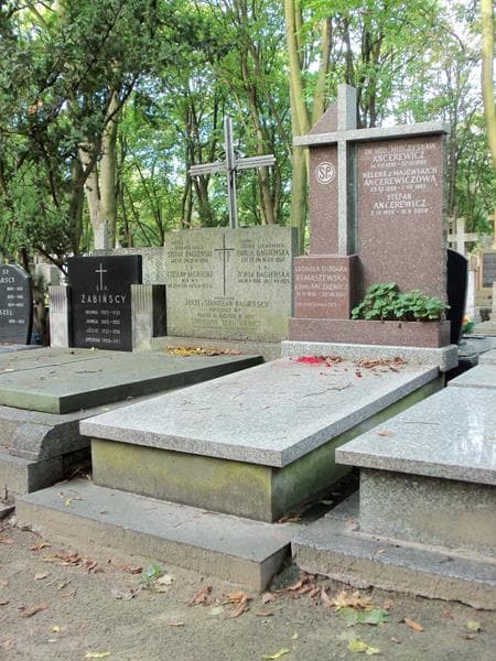 Zdjęcie grobu Mieczysław Ancerewicz (1)