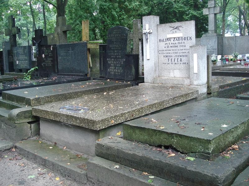Zdjęcie grobu Halina Zaborek (1)