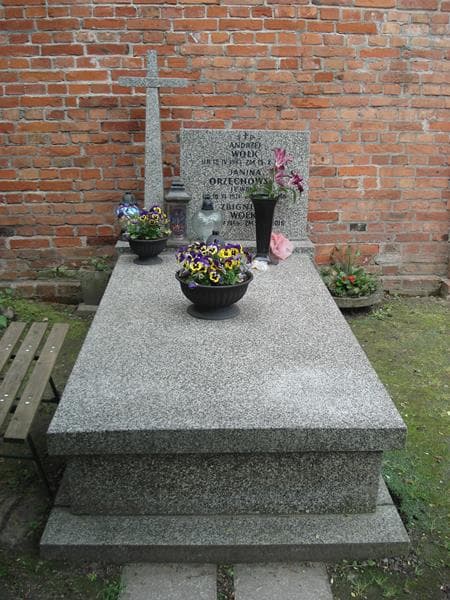Zdjęcie grobu: Janina Orzechowska