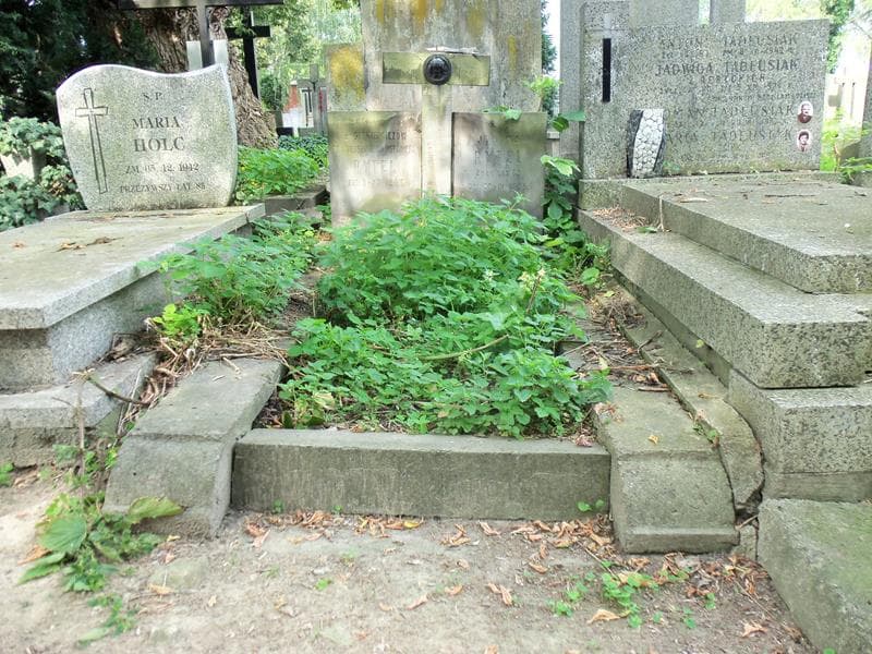Zdjęcie grobu: Janina Rytel