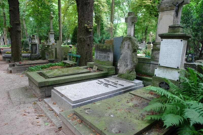 Zdjęcie grobu Wiktor Rudolf Pfeil (1)