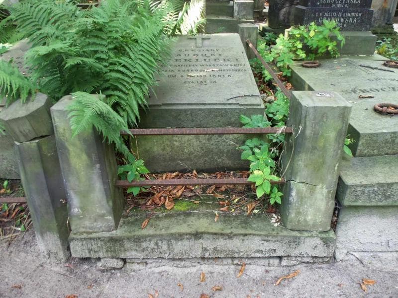 Zdjęcie grobu: August Sieklucki