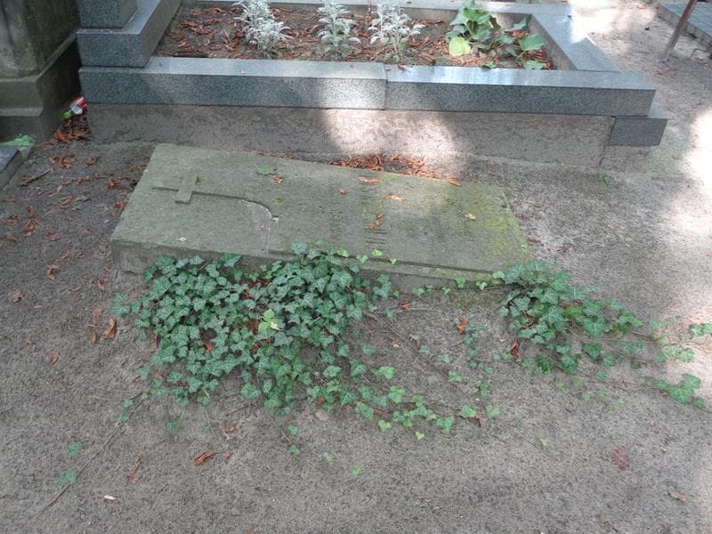 Zdjęcie grobu: Nikodem Stanisław Turczyński