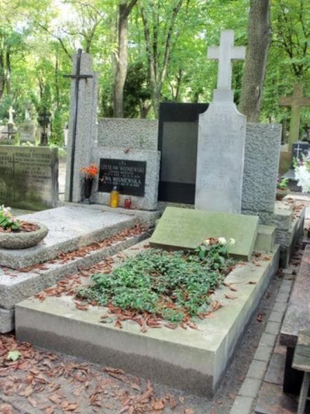 Zdjęcie grobu Wiktor Ziajowski (1)