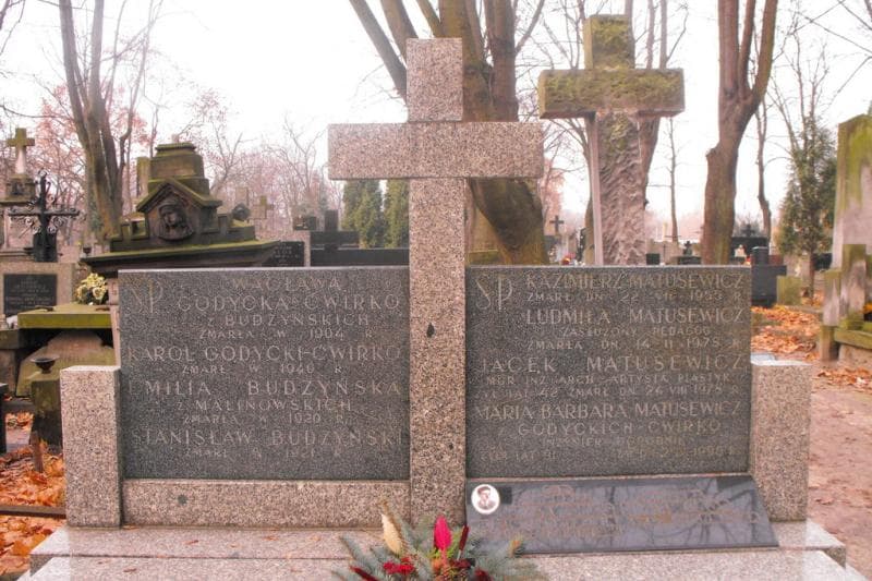 Zdjęcie grobu Stanisław Budzyński (2)