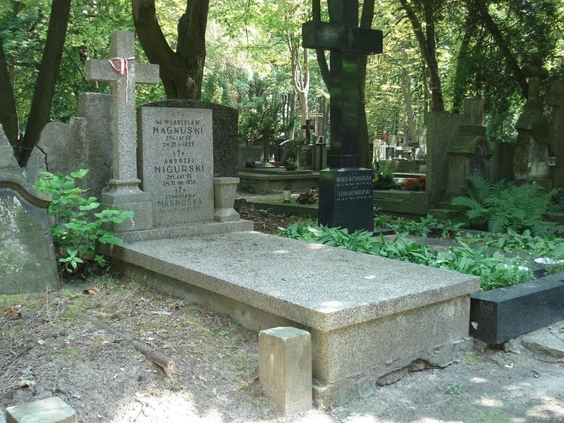 Zdjęcie grobu Janina Magnuska (1)