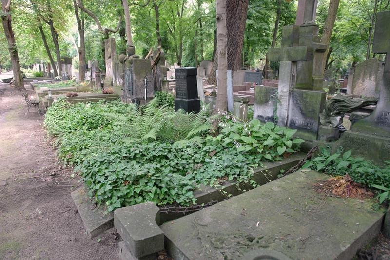 Zdjęcie grobu: Henryk Cyrkler