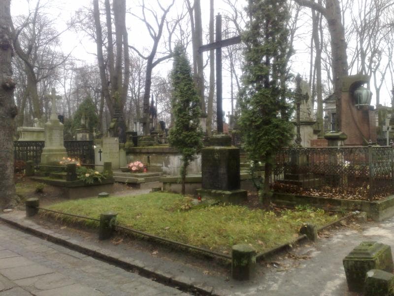 Zdjęcie grobu: Ludwik Kujawski