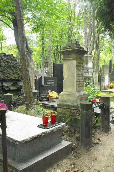Zdjęcie grobu Prosper Budziszewski (1)