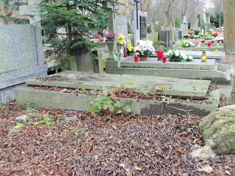 Zdjęcie grobu Józefa Krzemińska (2)