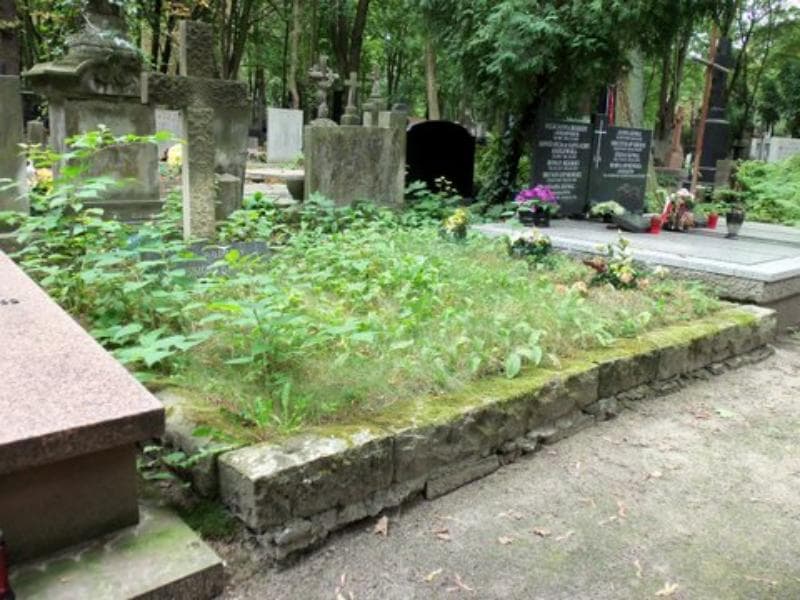 Zdjęcie grobu Kujawscy I Rapaccy (1)
