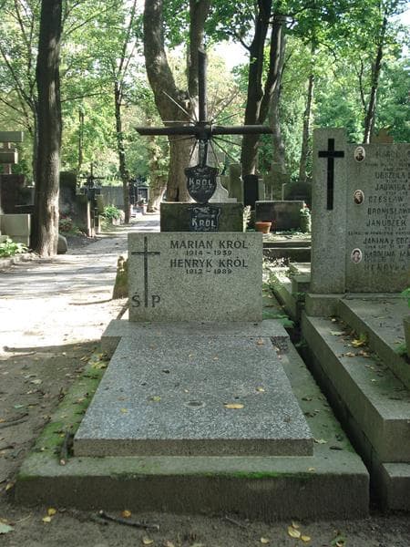 Zdjęcie grobu: Henryk Król