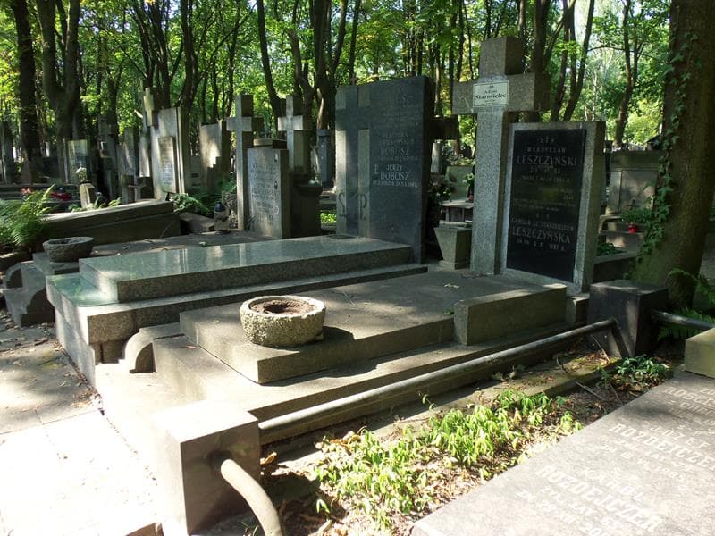 Zdjęcie grobu: Władysław Leszczyński