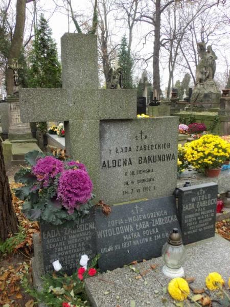 Zdjęcie grobu Aldona Bakunowa (2)