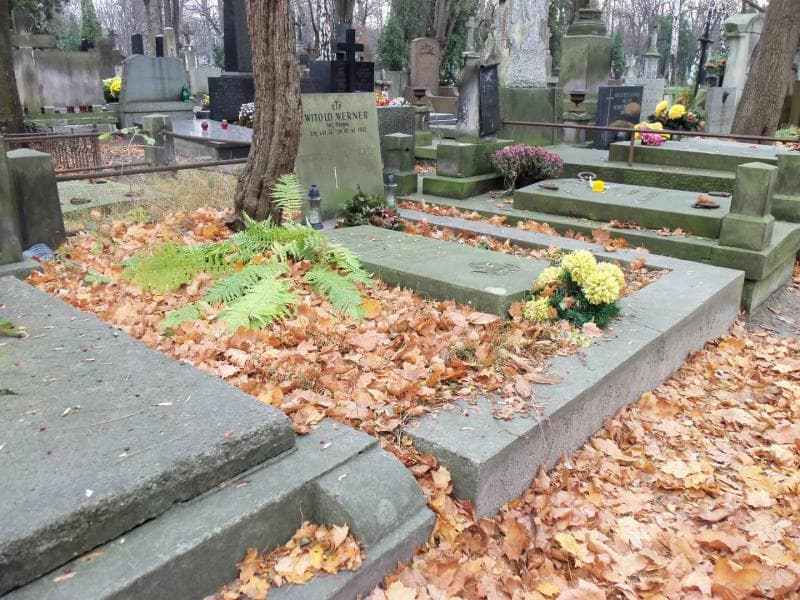 Zdjęcie grobu Broniś Plewiński (1)