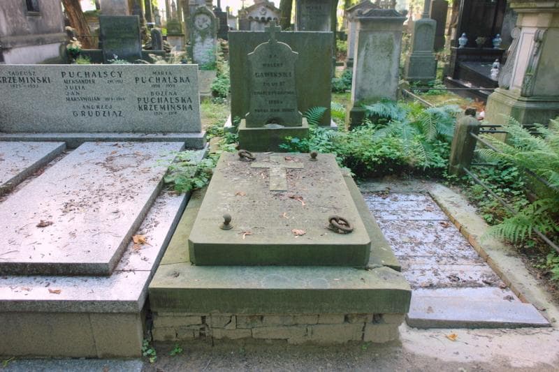 Zdjęcie grobu Ludwik Delor (1)