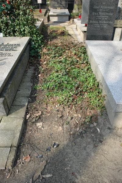 Zdjęcie grobu: Pole Grobowe