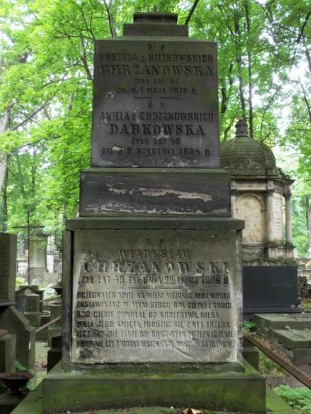 Zdjęcie grobu Aniela Dąbkowska (2)