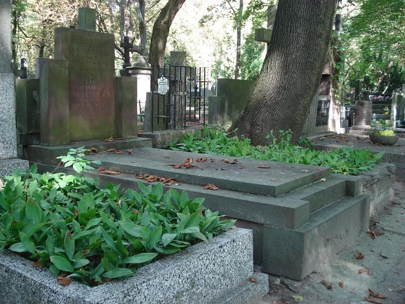 Zdjęcie grobu Zdzisław Hasselbusch (1)