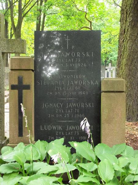 Zdjęcie grobu Ignacy Jaworski (2)