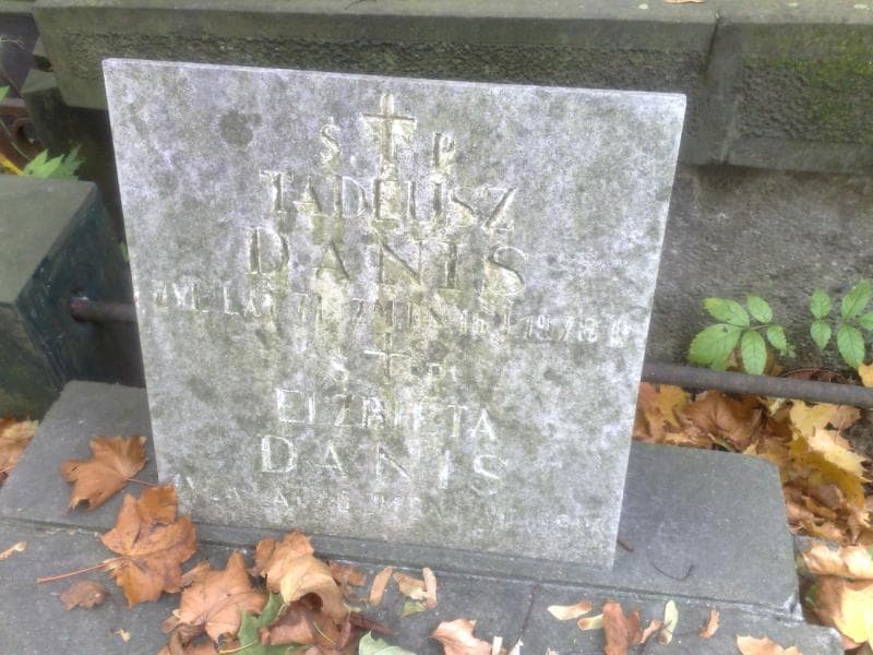 Zdjęcie grobu Elżbieta Danis (2)