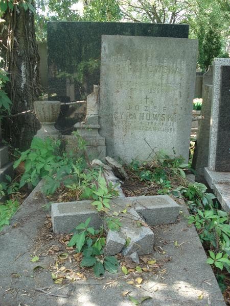 Zdjęcie grobu Józef Cyranowski (2)