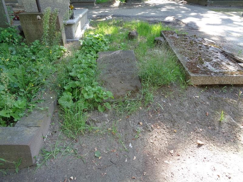 Zdjęcie grobu Aniela Gutkowska (1)