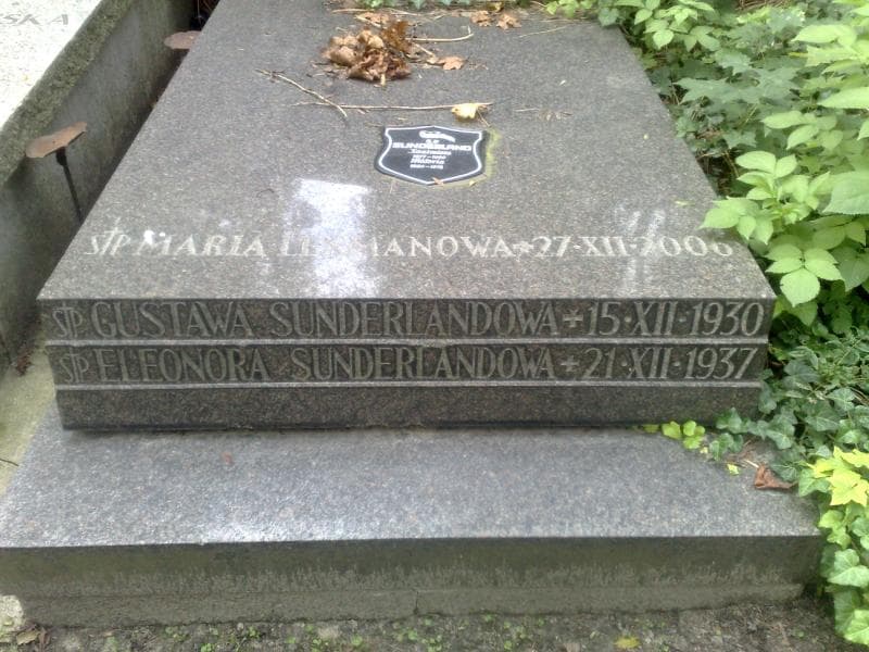 Zdjęcie grobu Maria Lesmanowa (2)