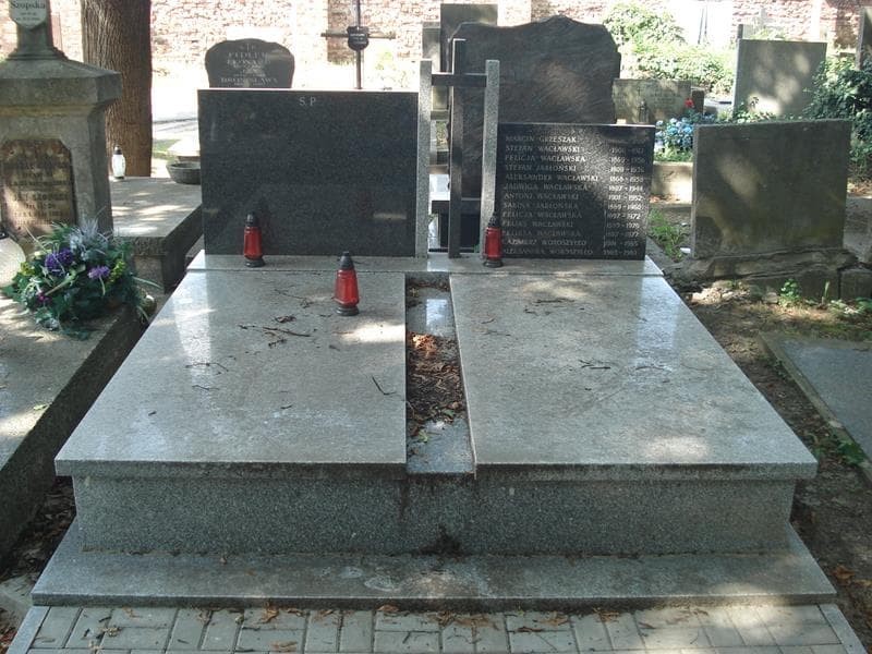 Zdjęcie grobu Aleksander Wacławski (1)