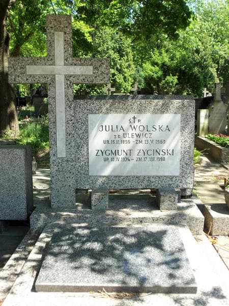 Zdjęcie grobu Zygmunt Życiński (2)