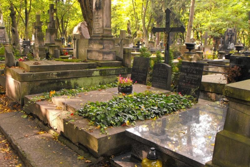 Zdjęcie grobu Genowefa Kędzierska (1)