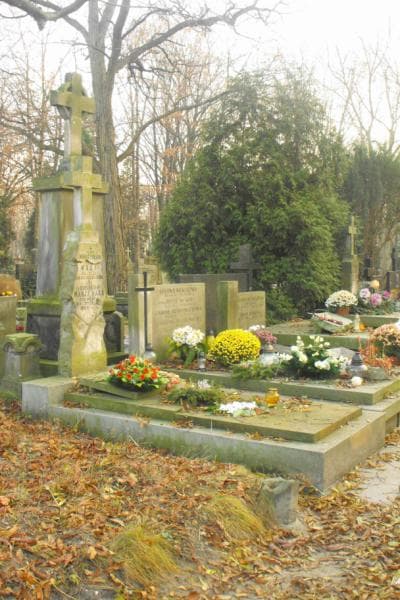 Zdjęcie grobu Mieczysław Waga (1)