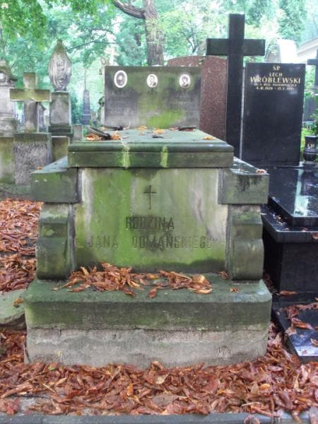 Zdjęcie grobu: Wacława Domańska