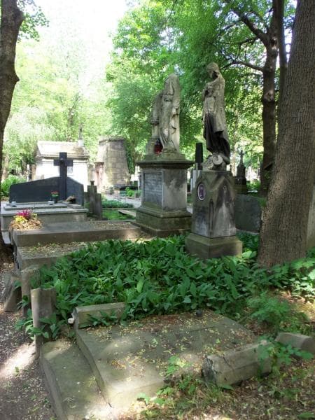 Zdjęcie grobu Emilja Baczyńska (1)