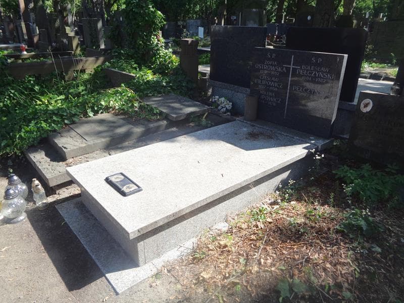 Zdjęcie grobu: Aniela Pełczyńska