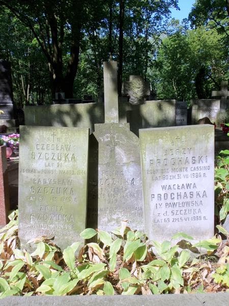 Zdjęcie grobu Czesław Szczuka (2)