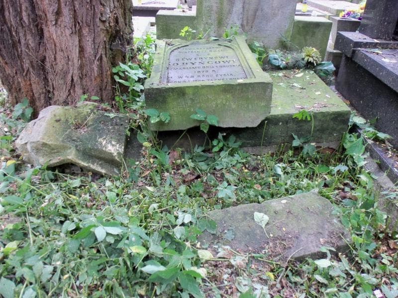 Zdjęcie grobu Seweryn Odyniec (1)