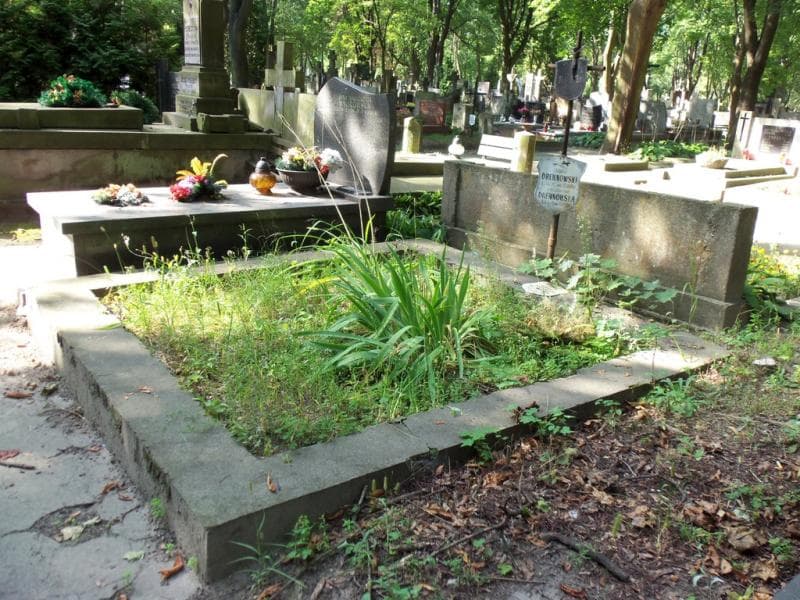 Zdjęcie grobu Marta Kryńska (1)